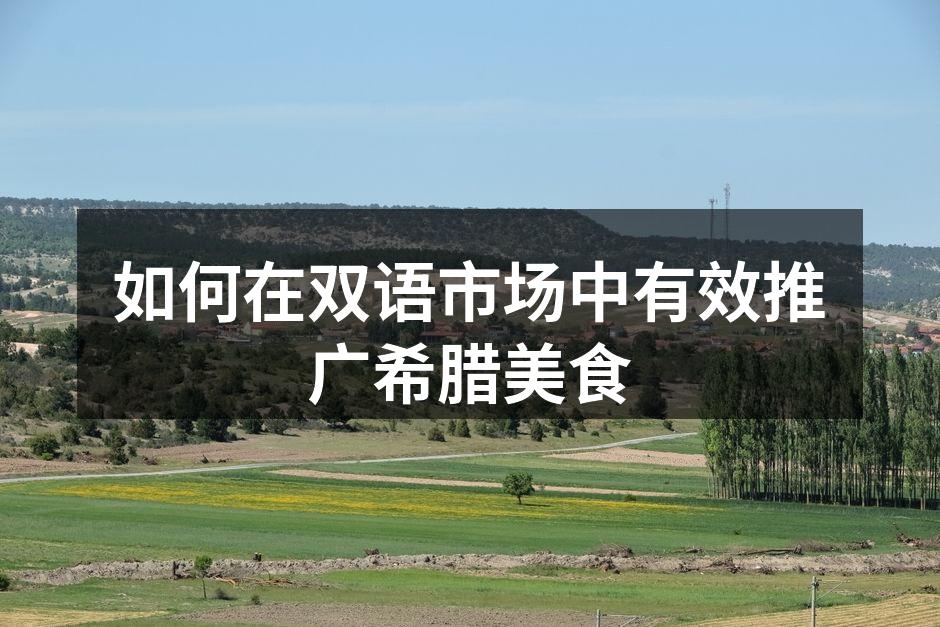 如何在双语市场中有效推广希腊美食