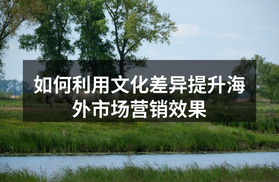 如何利用文化差异提升海外市场营销效果