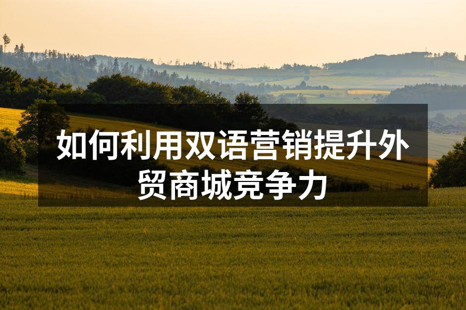 如何利用双语营销提升外贸商城竞争力