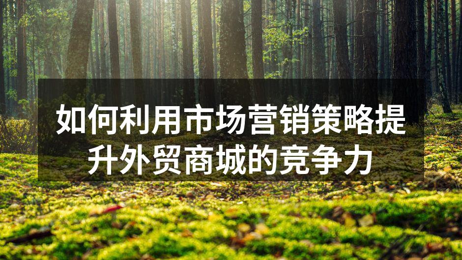 如何利用市场营销策略提升外贸商城的竞争力